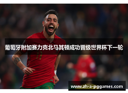 葡萄牙附加赛力克北马其顿成功晋级世界杯下一轮 葡萄牙附加赛力克北马其顿成功晋级世界杯下一轮