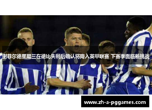 谢菲尔德星期三在德比失利后确认将降入英甲联赛 下赛季面临新挑战 谢菲尔德星期三在德比失利后确认将降入英甲联赛 下赛季面临新挑战